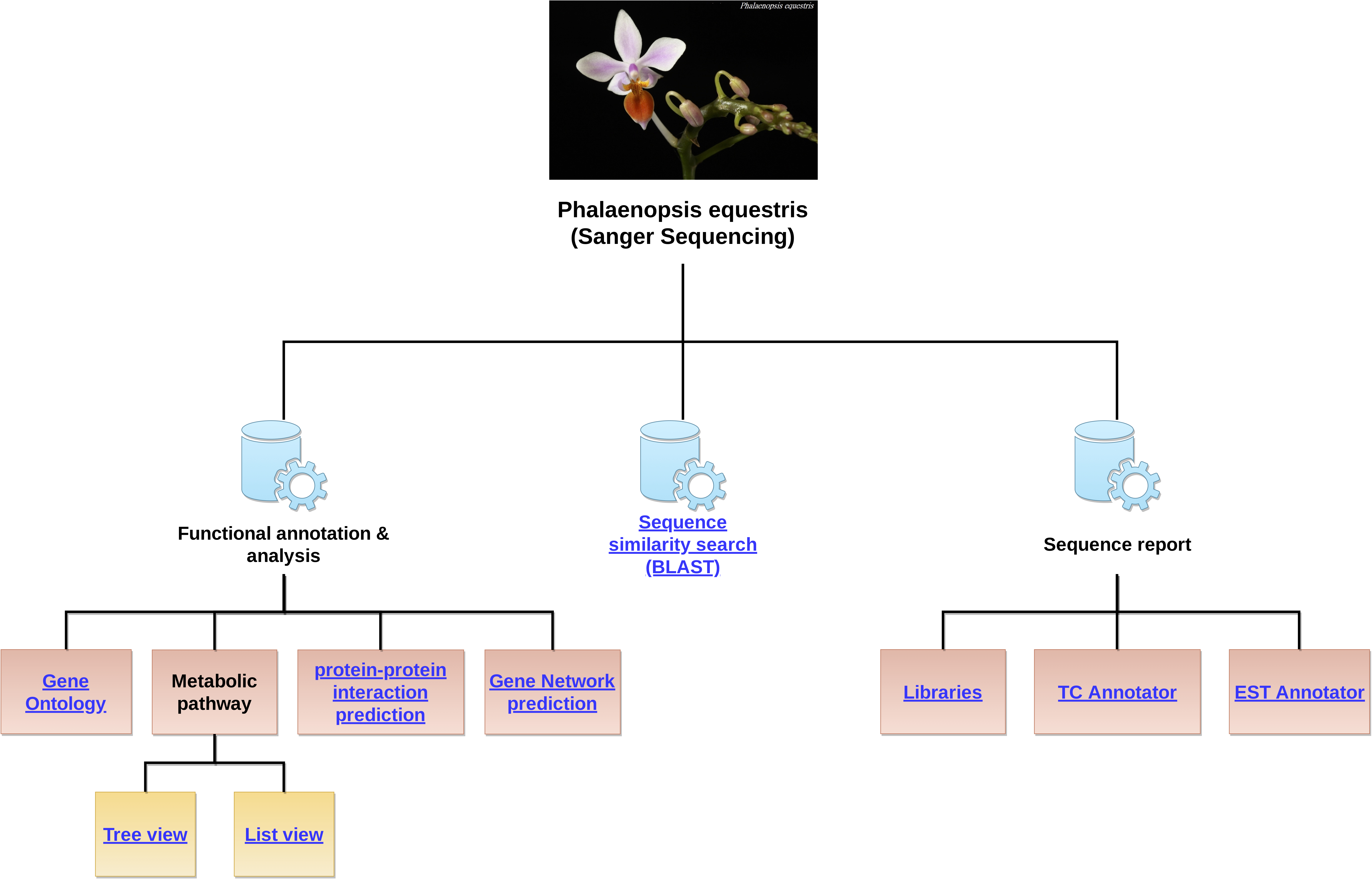 Transcriptome Sanger